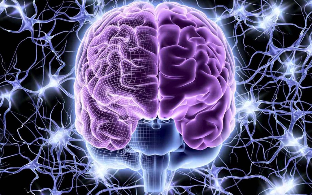 Nervous System Regulation and Why it Matters