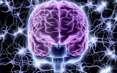 Nervous System Regulation and Why it Matters
